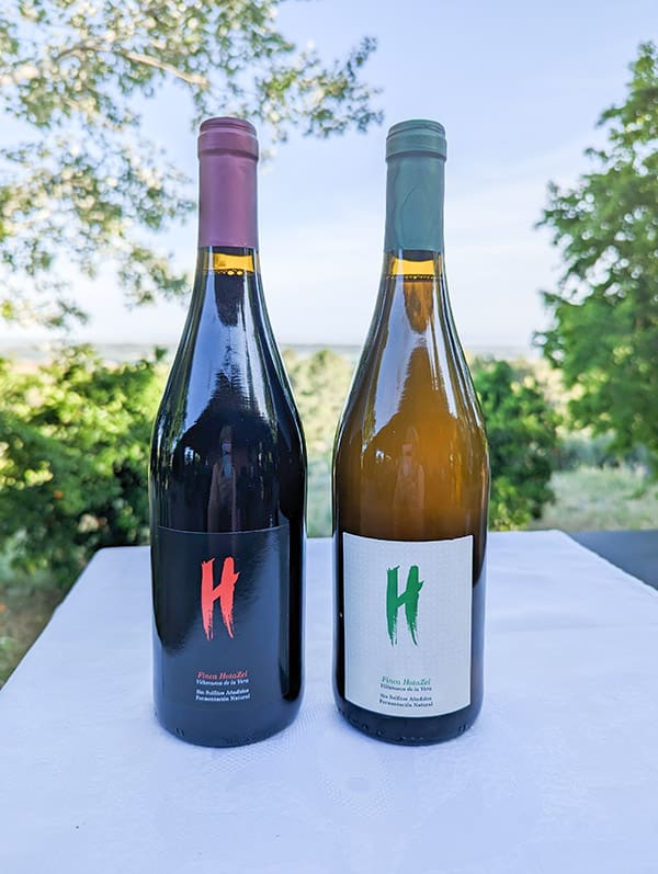 ¿Qué es un vino biodinámico y por qué elegirlo? En el mundo del vino, el término vino biodinámico está ganando popularidad como una opción sostenible y auténtica. Este tipo de vino no solo destaca por su calidad, sino también por su proceso de producción que conecta de manera única al viticultor, el viñedo y el entorno. Pero, ¿qué son los vinos biodinámicos y por qué están revolucionando el sector? ¿Qué es un vino biodinámico? El vino biodinámico es el resultado de un enfoque holístico en la viticultura. Inspirado en los principios de Rudolf Steiner, este método considera la viña como un organismo vivo que interactúa con los ciclos de la naturaleza. Los productores de vino biodinámico emplean técnicas que respetan el equilibrio del ecosistema, incluyendo preparados naturales y prácticas agrícolas sin químicos sintéticos. Características de los vinos biodinámicos Los vinos biodinámicos se diferencian de otros vinos por: Uso exclusivo de fertilizantes orgánicos y preparados biodinámicos. Sin pesticidas ni herbicidas, protegiendo el suelo y la biodiversidad. Prácticas sincronizadas con los ciclos lunares para mejorar la calidad de la uva. Fermentación natural con levaduras propias de la uva. ¿Qué diferencia al vino biodinámico de otros tipos de vino? Mientras que los vinos tradicionales suelen depender de técnicas químicas para maximizar la producción, los vinos biodinámicos priorizan la calidad y el respeto al medio ambiente. Incluso frente a los vinos ecológicos, los biodinámicos van un paso más allá, incorporando prácticas que buscan revitalizar el suelo y el entorno. Beneficios de elegir vinos biodinámicos Optar por vinos biodinámicos ofrece múltiples ventajas: Sostenibilidad: Estos vinos apoyan prácticas agrícolas que protegen el medio ambiente. Autenticidad: El sabor del vino biodinámico refleja fielmente el terruño y los ciclos naturales. Salud: Sin químicos ni sulfitos añadidos, son una opción más saludable. Calidad: La producción limitada asegura vinos cuidadosamente elaborados. El proceso detrás del vino biodinámico. Desde la plantación hasta la botella, la producción de un vino biodinámico es un proceso artesanal. Los productores no solo cultivan la uva con técnicas naturales, sino que también consideran factores como la posición de los astros y los ciclos lunares para decidir el momento óptimo para podar, cosechar y embotellar. ¿Por qué elegir vinos biodinámicos? El vino biodinámico representa un compromiso con el futuro del planeta y el disfrute de un producto de calidad excepcional. Elegir este tipo de vino es una manera de apoyar la sostenibilidad y garantizar una experiencia enológica que conecta con la naturaleza. El vino biodinámico como símbolo de sostenibilidad El auge de los vinos biodinámicos es más que una tendencia. Es una revolución en el mundo de la viticultura que combina tradición, innovación y un profundo respeto por el medio ambiente. Al disfrutar de un vino biodinámico, no solo estás eligiendo calidad, sino también contribuyendo al cuidado del planeta.
